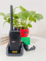 Bộ đàm DL -T586S